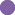 Fioletowy