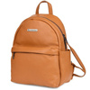 P15camel