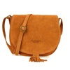 B66camel