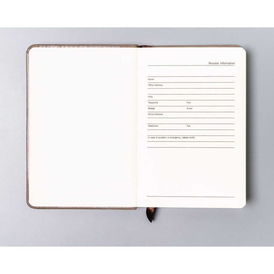 Otwarty khaki notes Peterson NOT-6-KP-54 w kropki