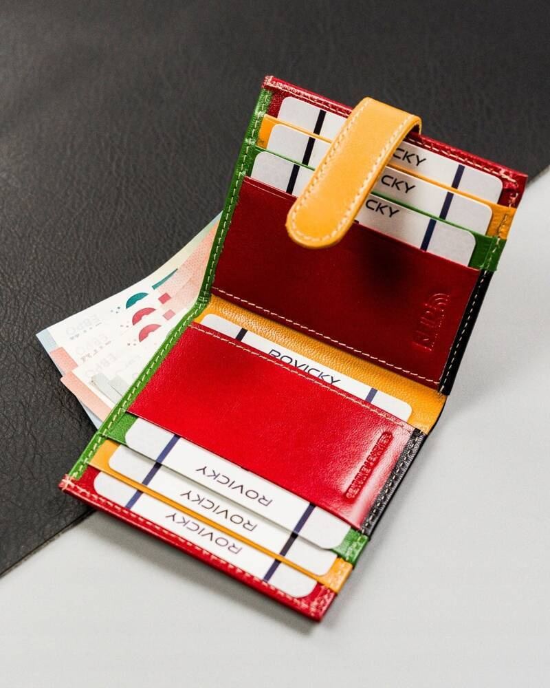 Otwarte wielokolorowe etui Rovicky R-RE-24-17-GCL z kartami