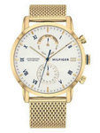 Zegarek męski elegancki Tommy Hilfiger 1710403 złoty